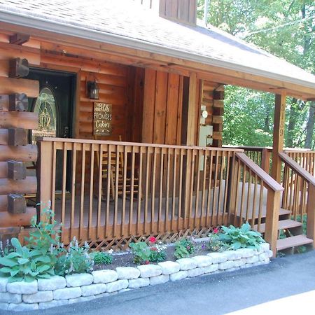 His Promises Cabin Pigeon Forge Ngoại thất bức ảnh